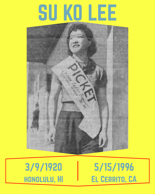 Su Ko Lee Zine