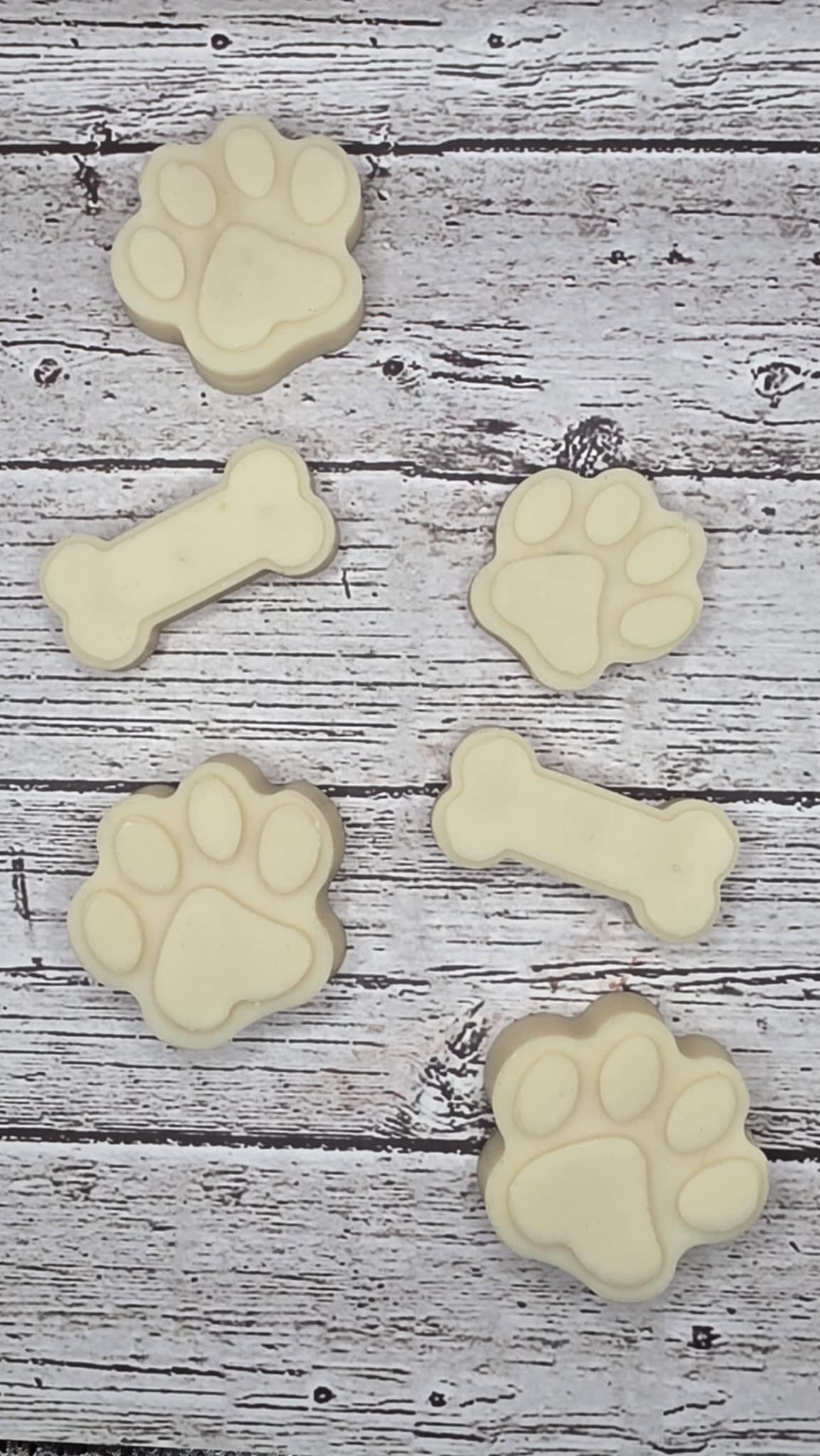 Dog Products