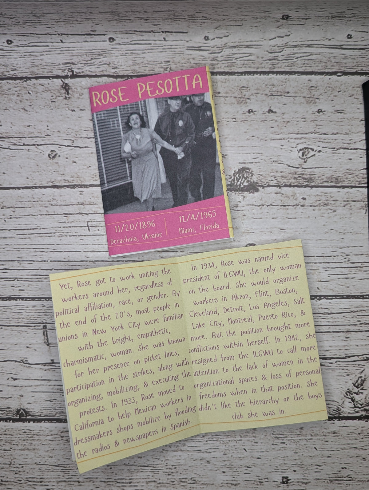 Rose Pesotta Zine