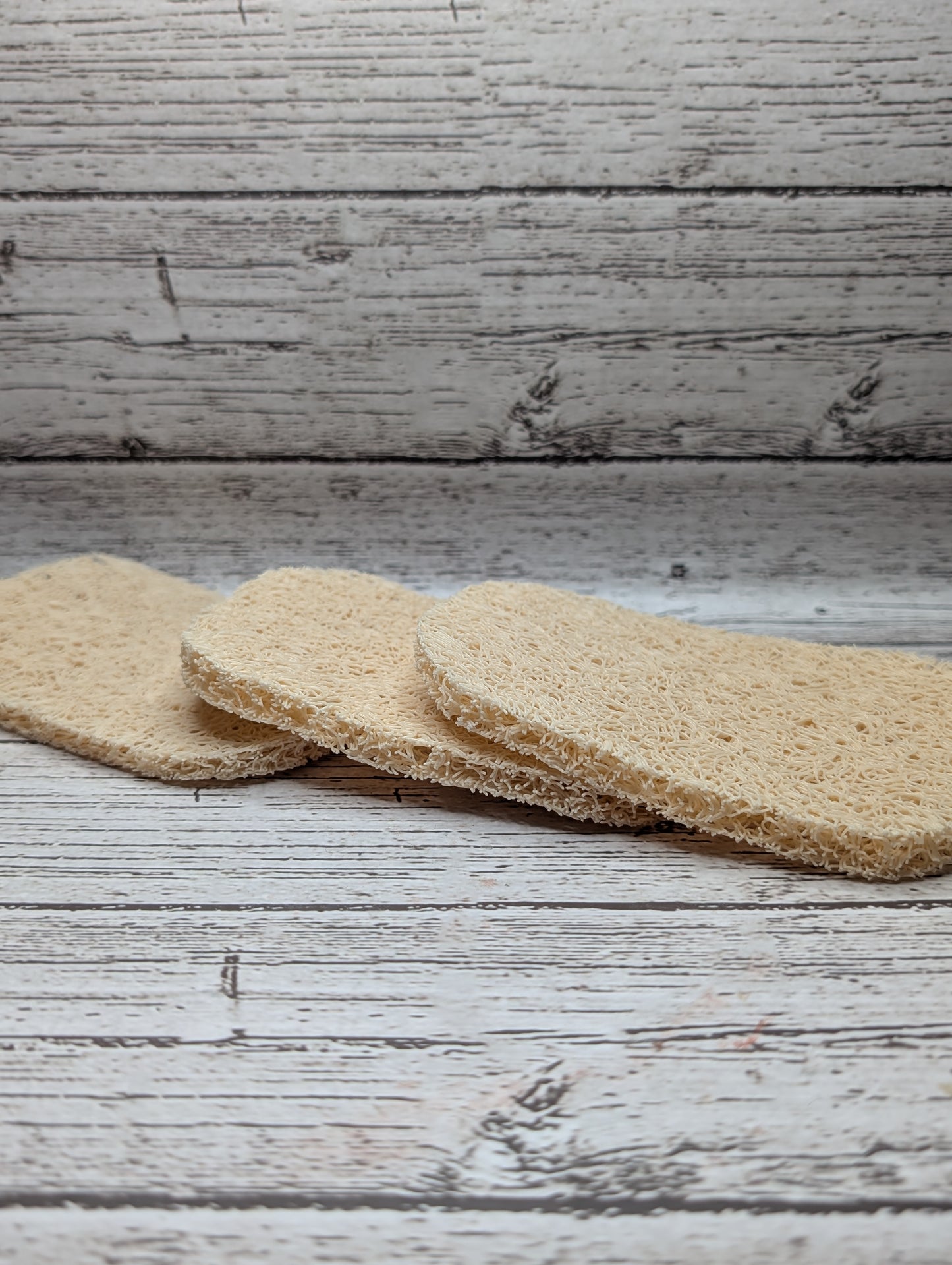 Loofah Soap Drainer