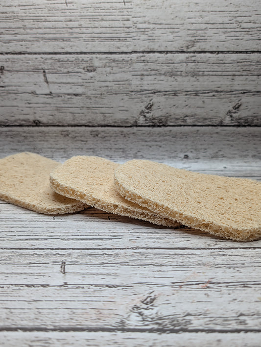 Loofah Soap Drainer